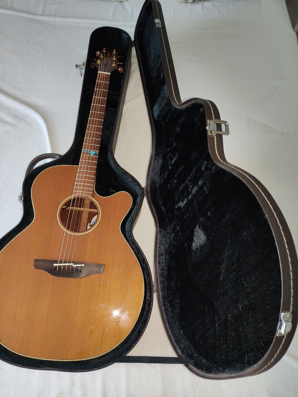 Takamine SANTA FE ESF 40 C 