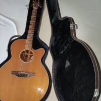Takamine SANTA FE ESF 40 C