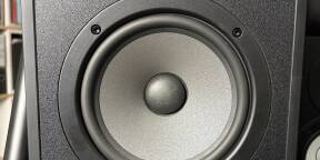 Paire de Focal Alpha 65