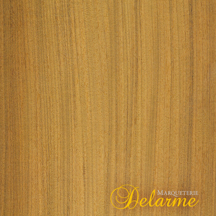 6755863.jpg 6755863.jpg