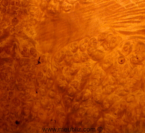 6755865.jpg 6755865.jpg