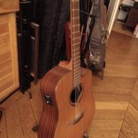 Vends Lâg Tramontane T300DCE