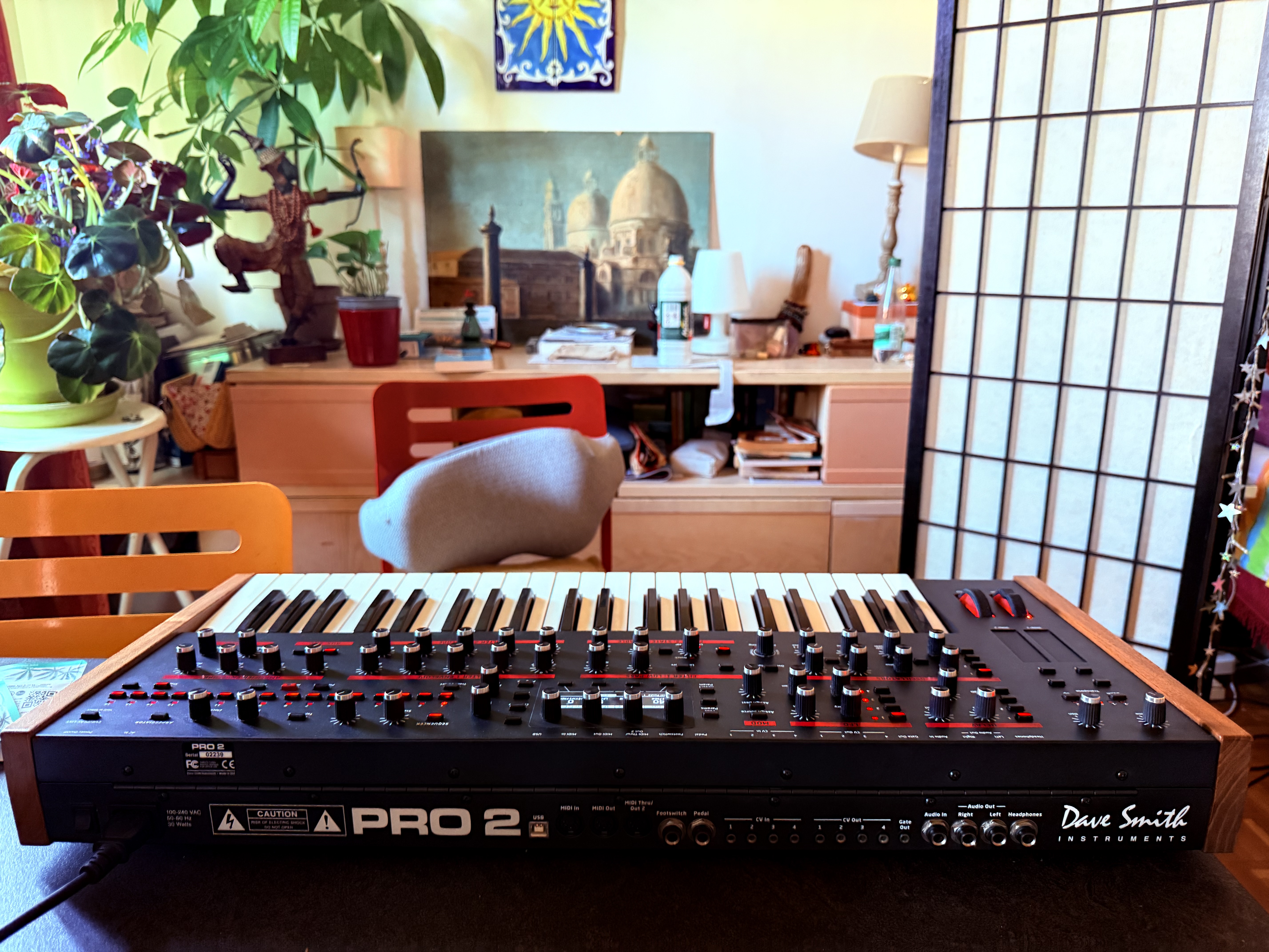 Dave Smith Instruments Pro 2 (36668)
