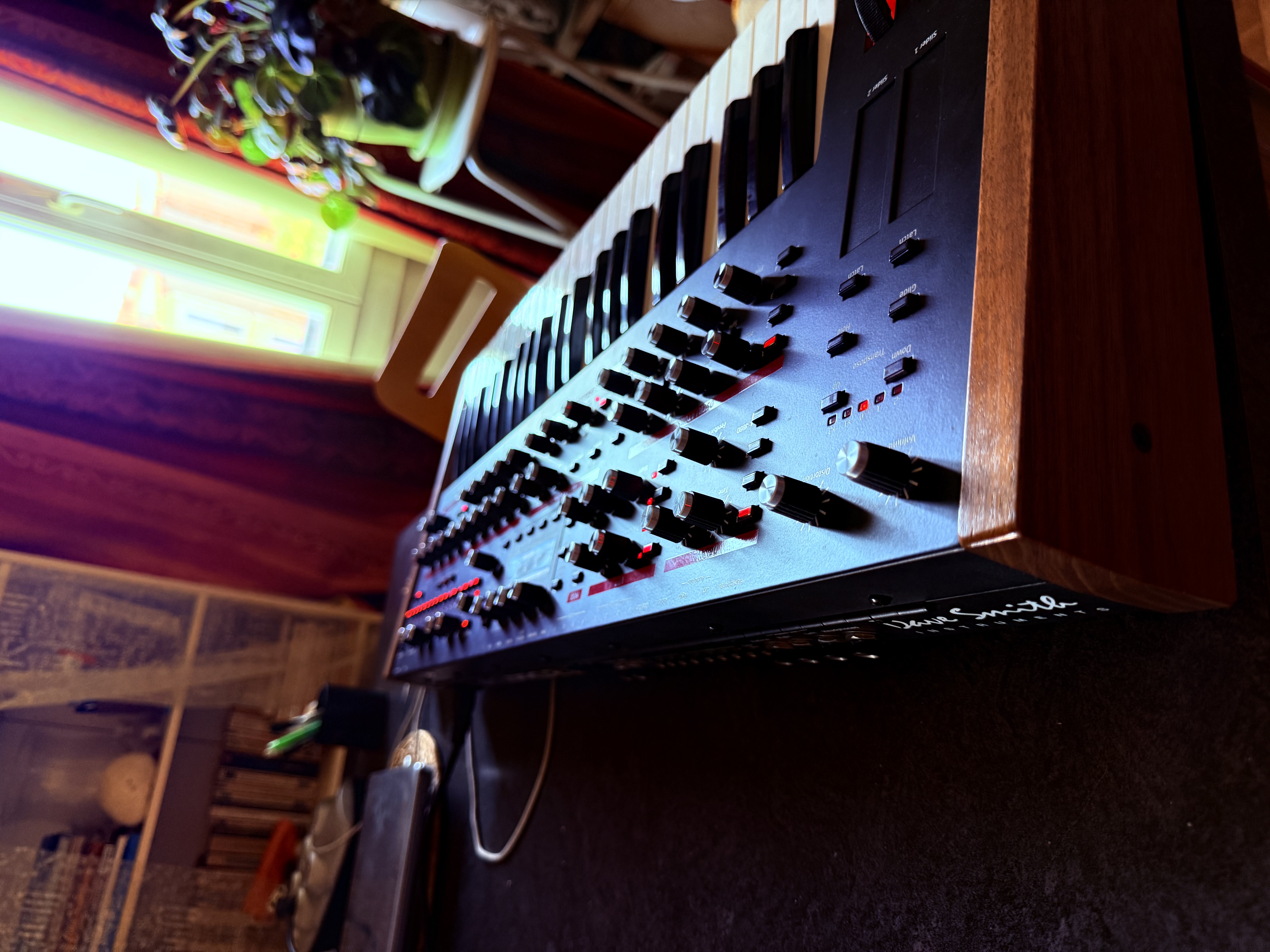Dave Smith Instruments Pro 2 (45637)