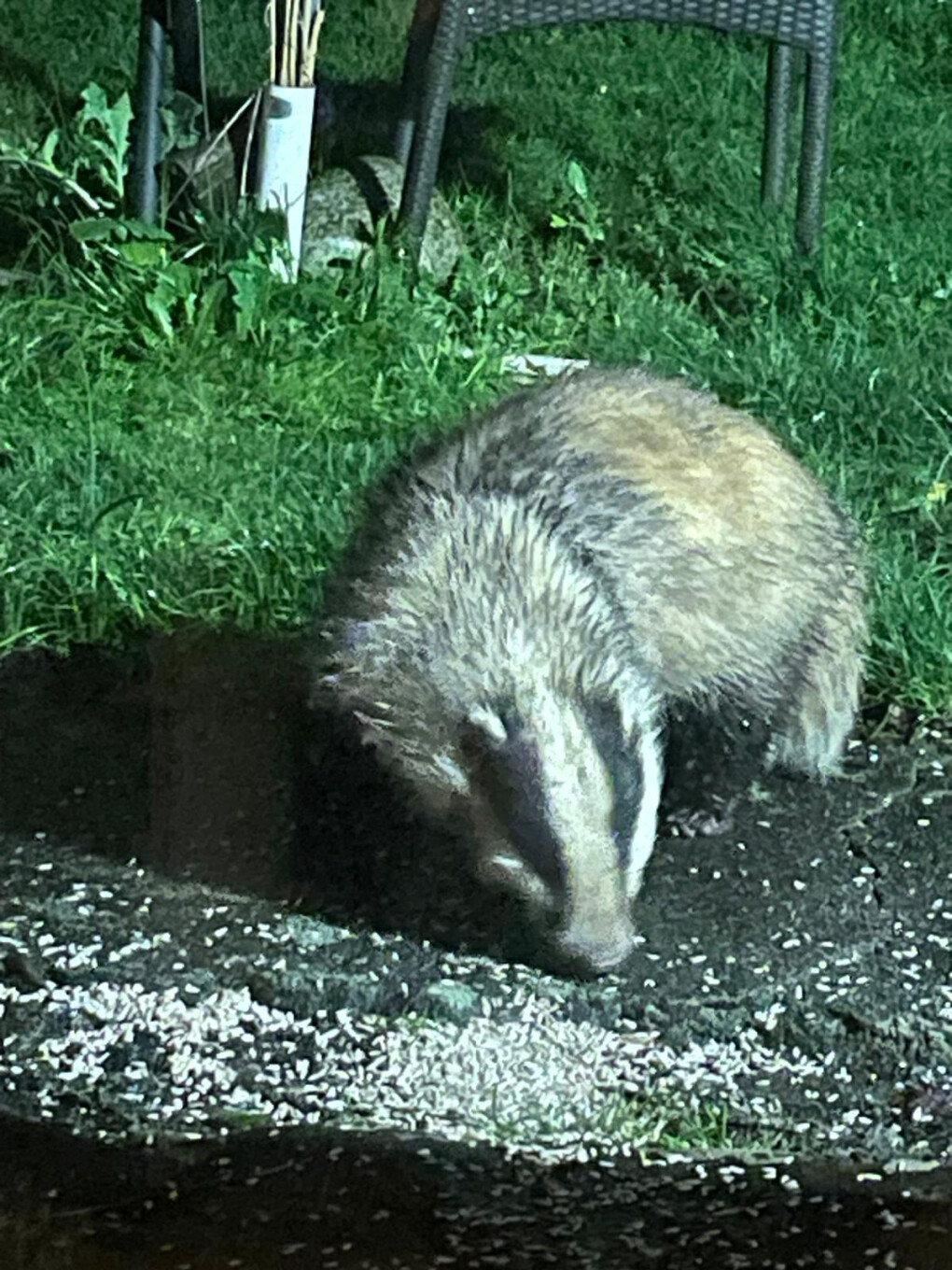 6756405.jpg 6756405.jpg