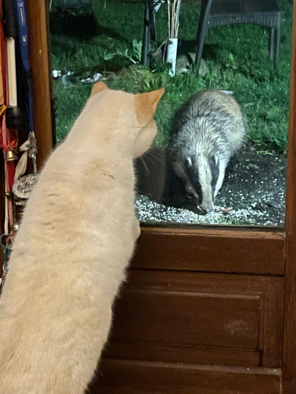 6756407.jpg 6756407.jpg