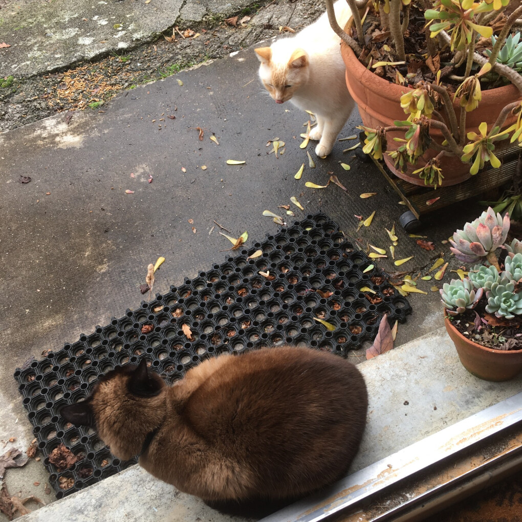 6756409.jpg 6756409.jpg