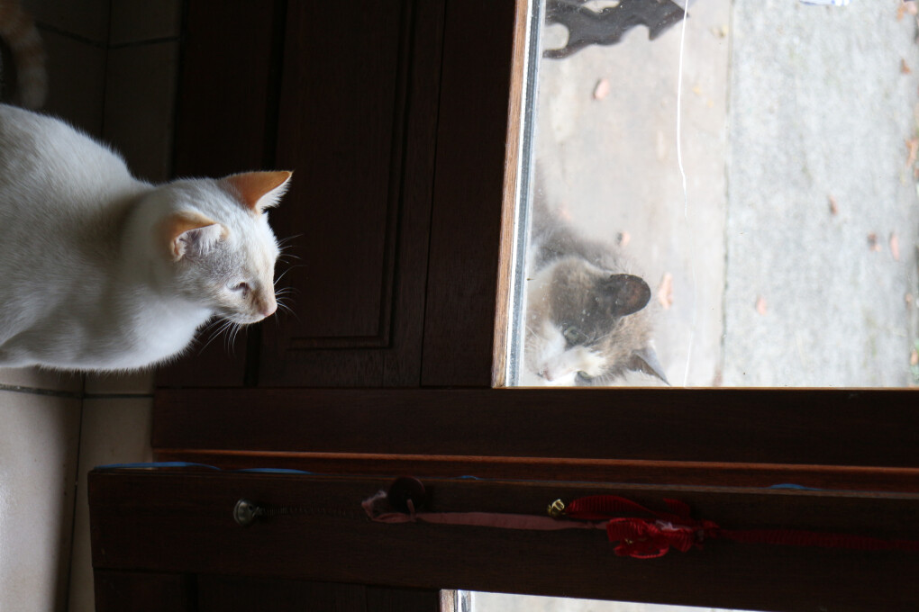 6756736.jpg 6756736.jpg