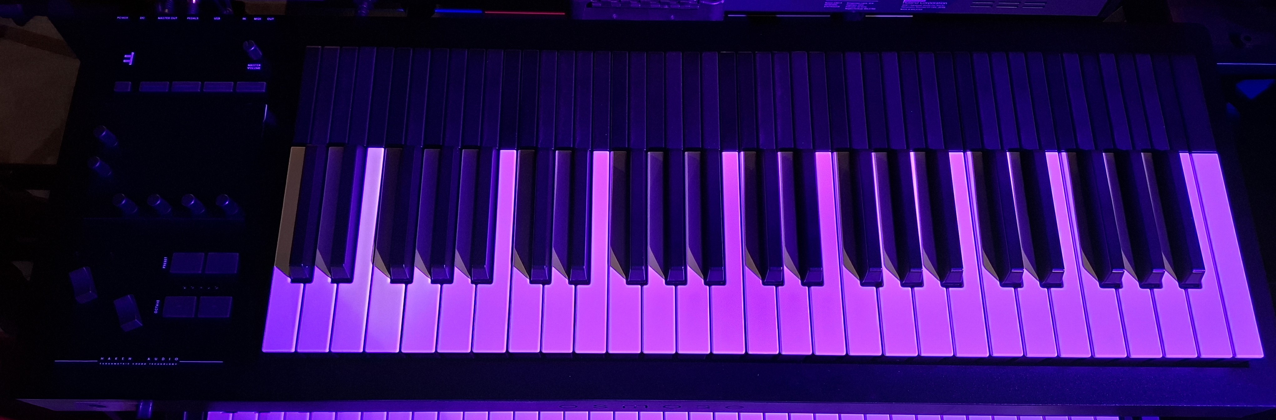 Expressive E Osmose 49