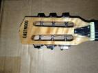Eastwood Guitars California Rebel