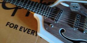 vends eastwood guitars california rebel