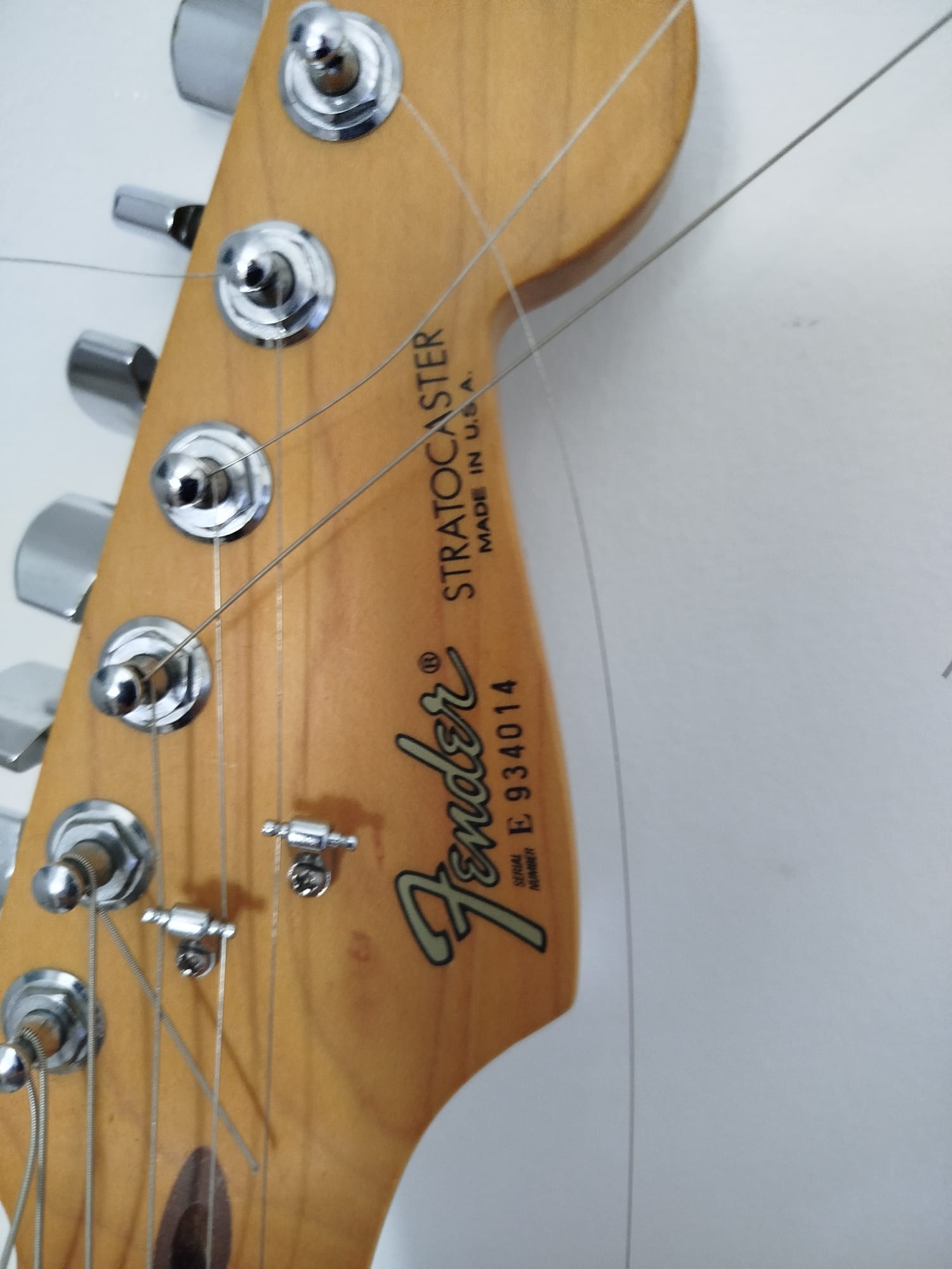 WhatsApp Image 2026-02-18 at 12.35.22