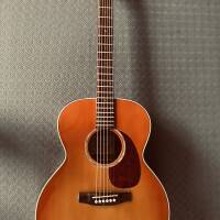 Guitare Takamine
