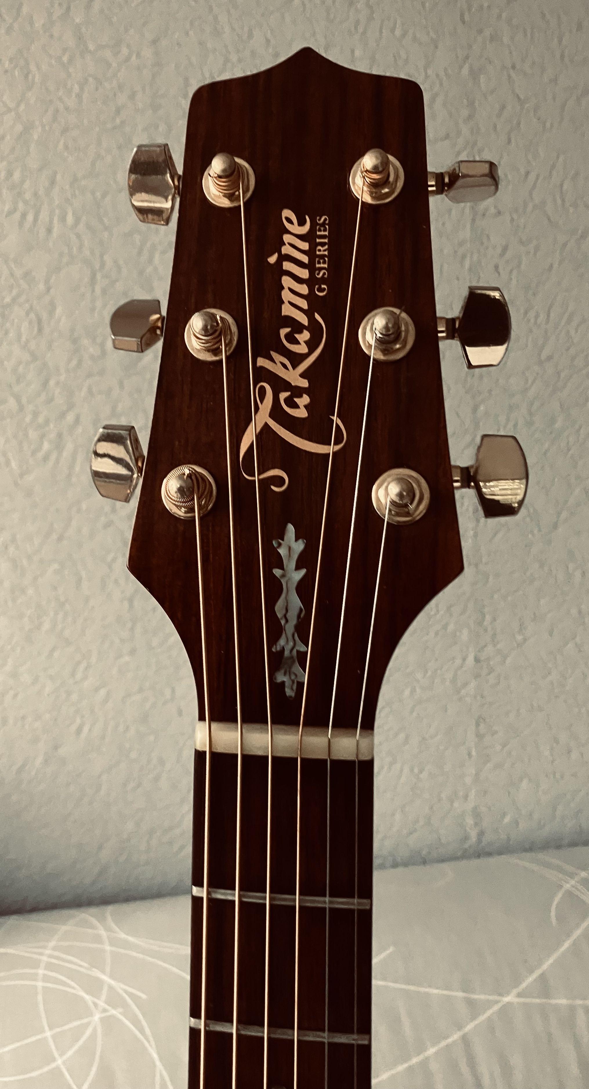 Takamine EG430S-VV (64351)