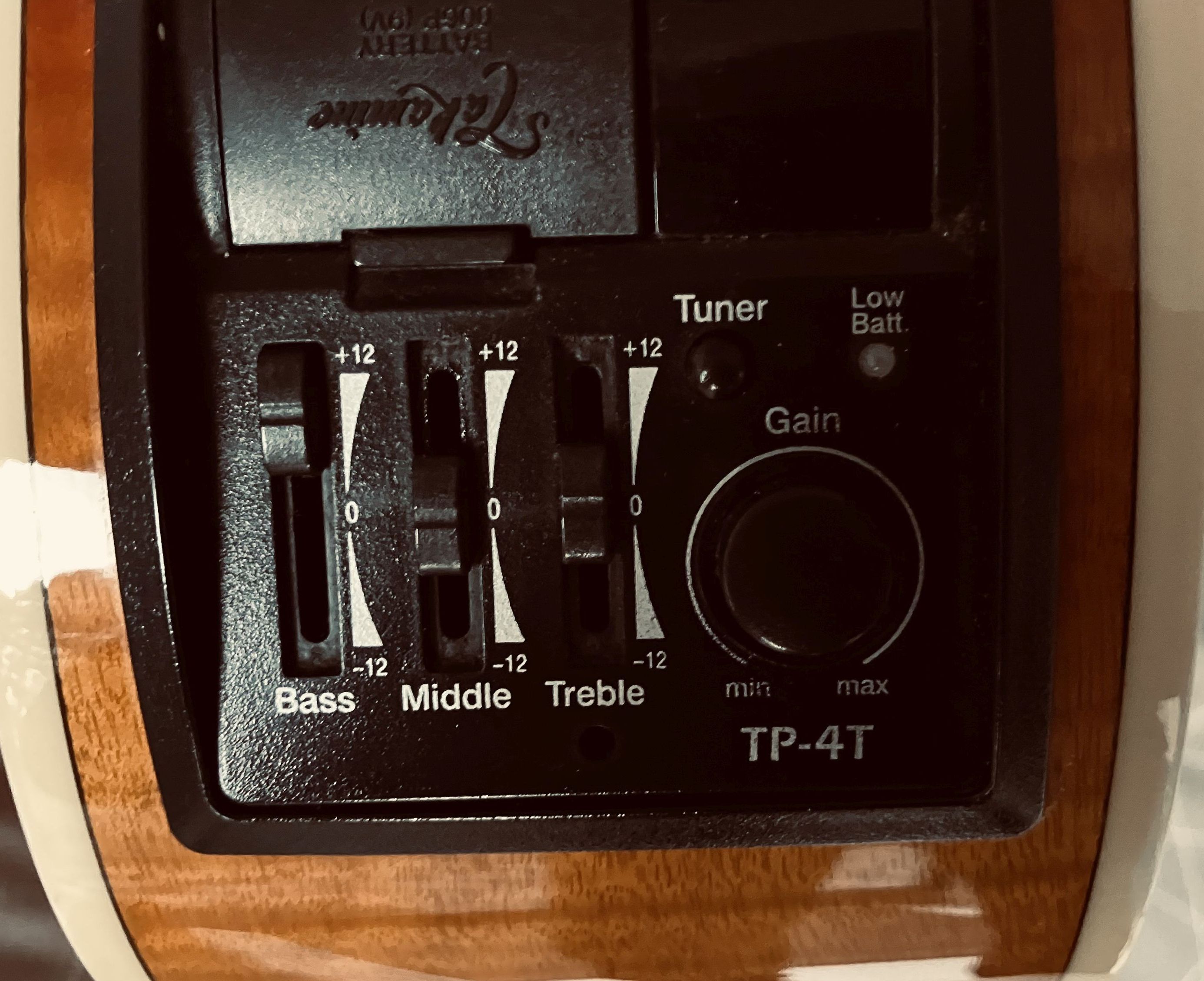 Takamine EG430S-VV (62491)