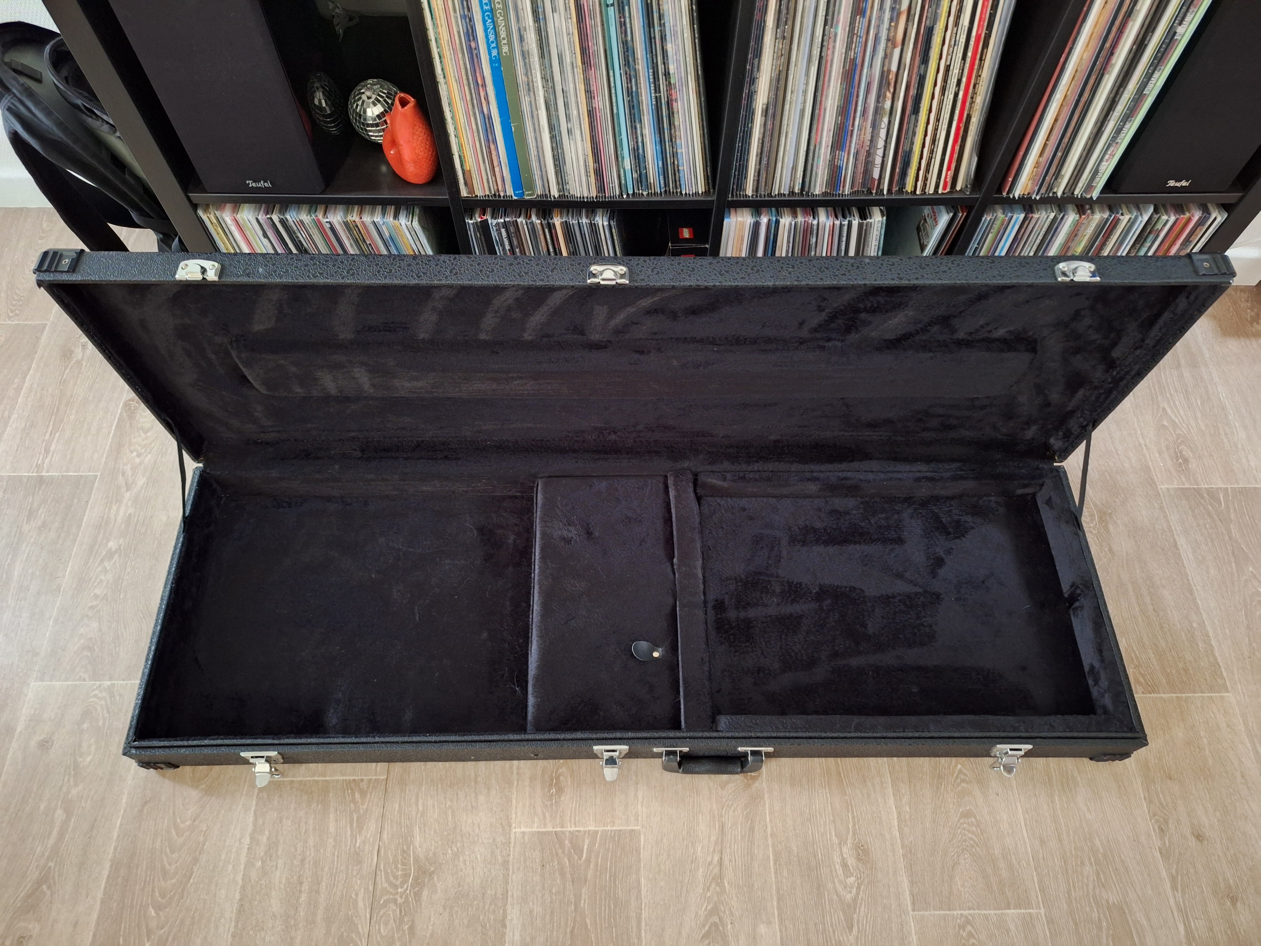 Ibanez Flight Case (2)jpg