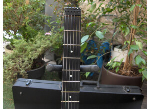 Steinberger GR-4R (13675)