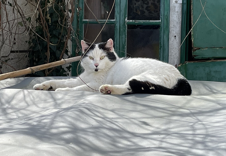 6759422.png 6759422.png