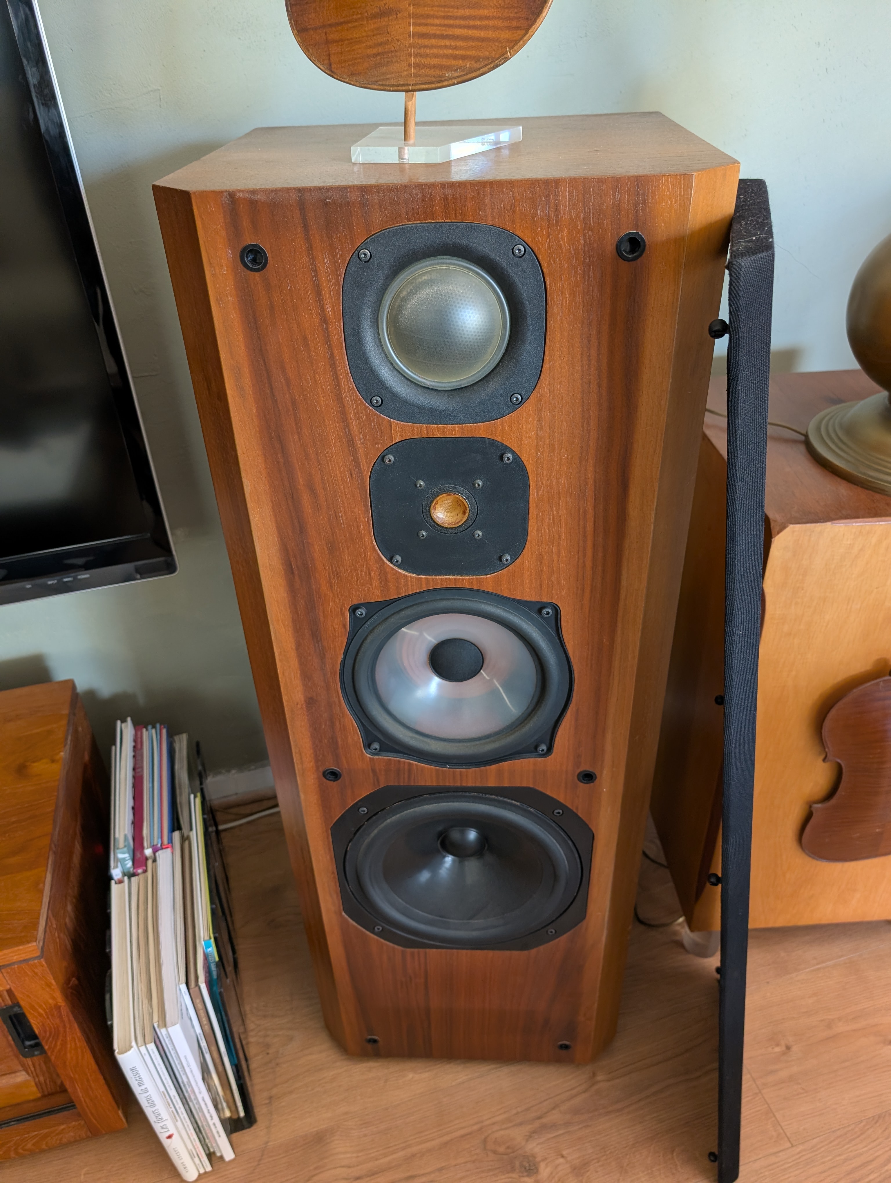 Vds enceintes JM Lab Onyx 710