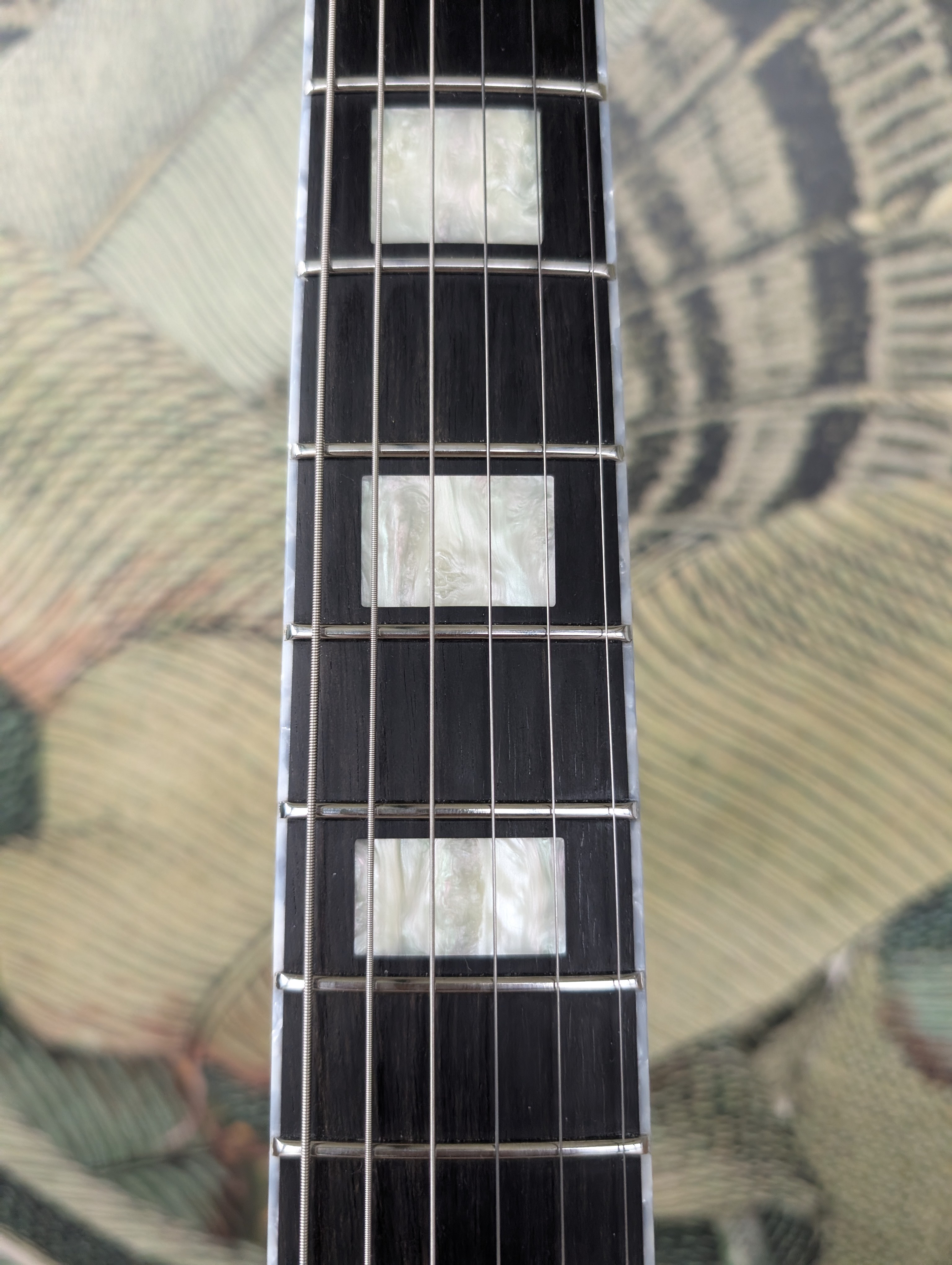 PXL 20260224 091818175