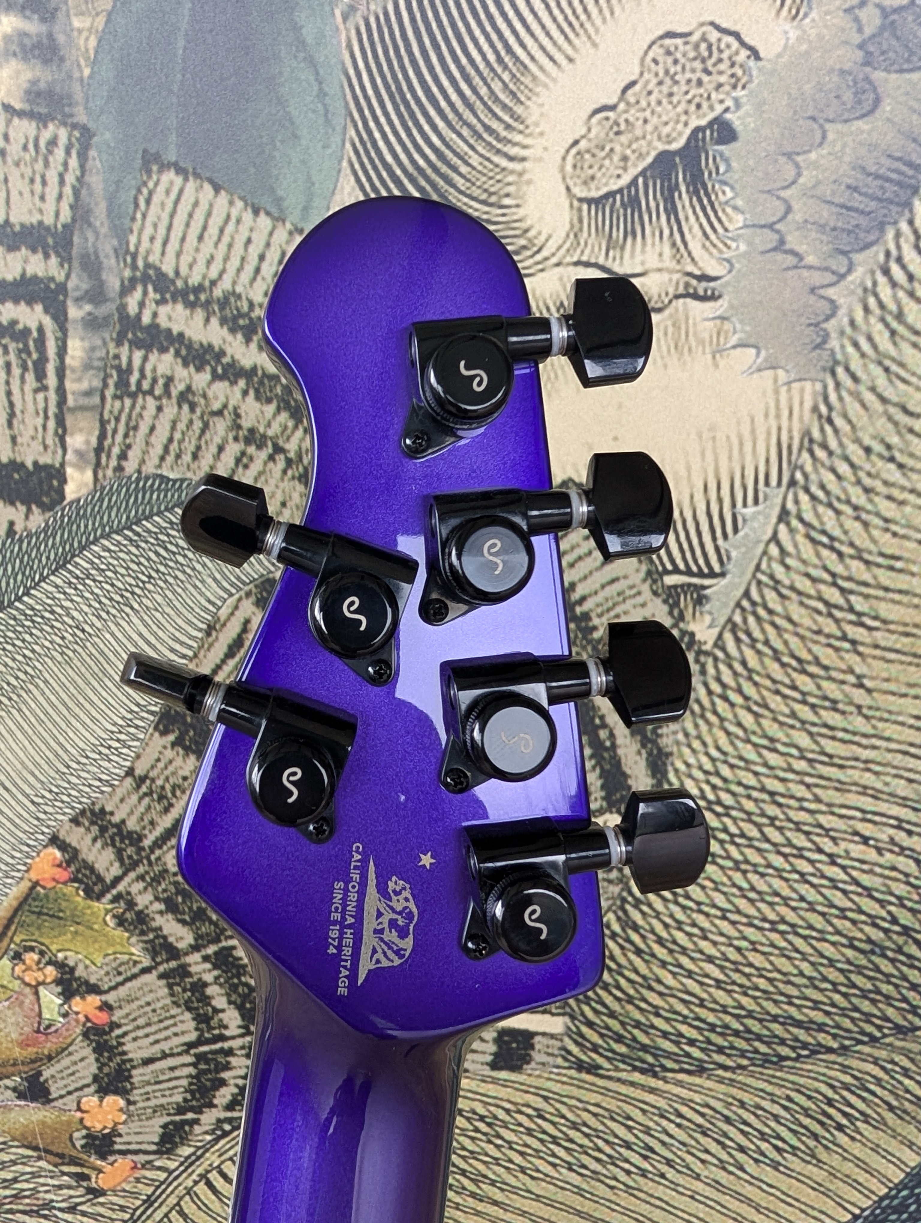 PXL 20260224 091832625