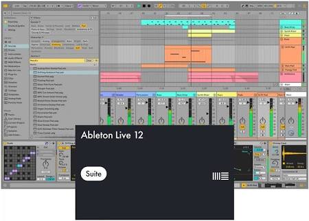 Licence Ableton Live 12 Suite (Transfert Officiel rapide)