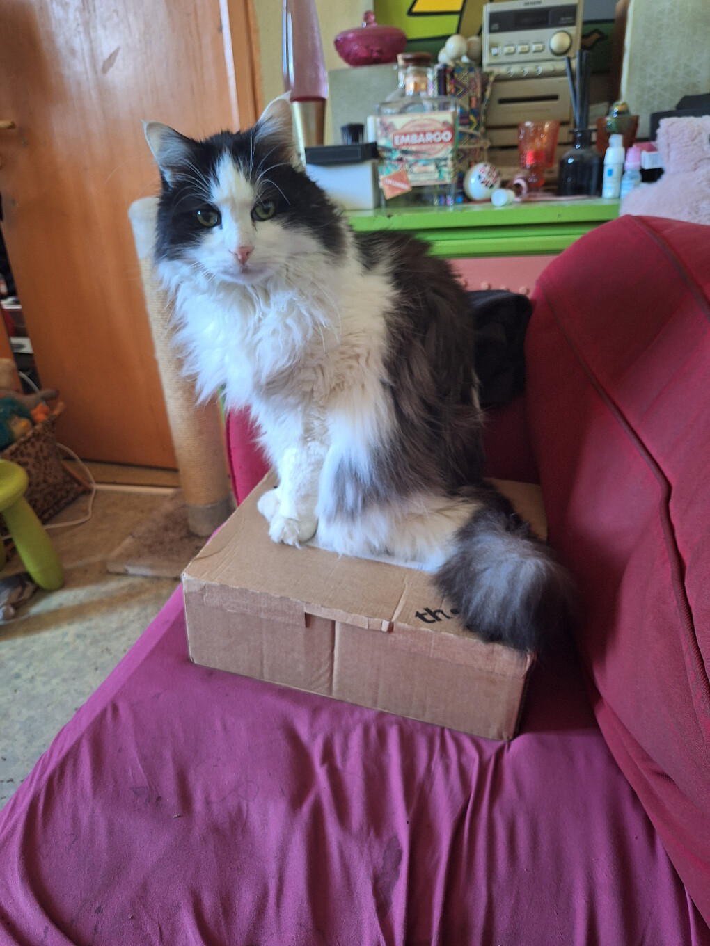 6761874.jpg 6761874.jpg