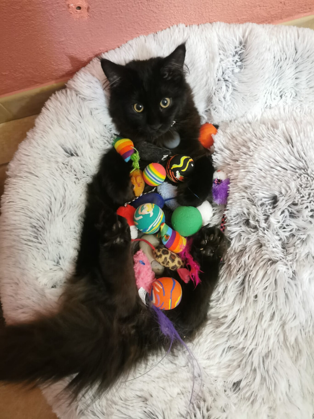 6762014.jpeg 6762014.jpeg