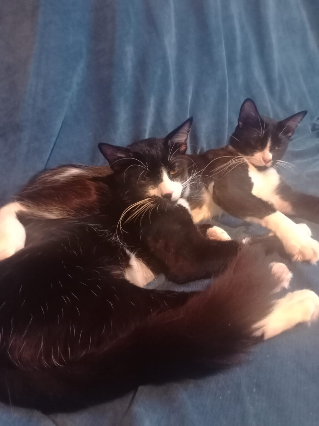 6762020.jpg 6762020.jpg