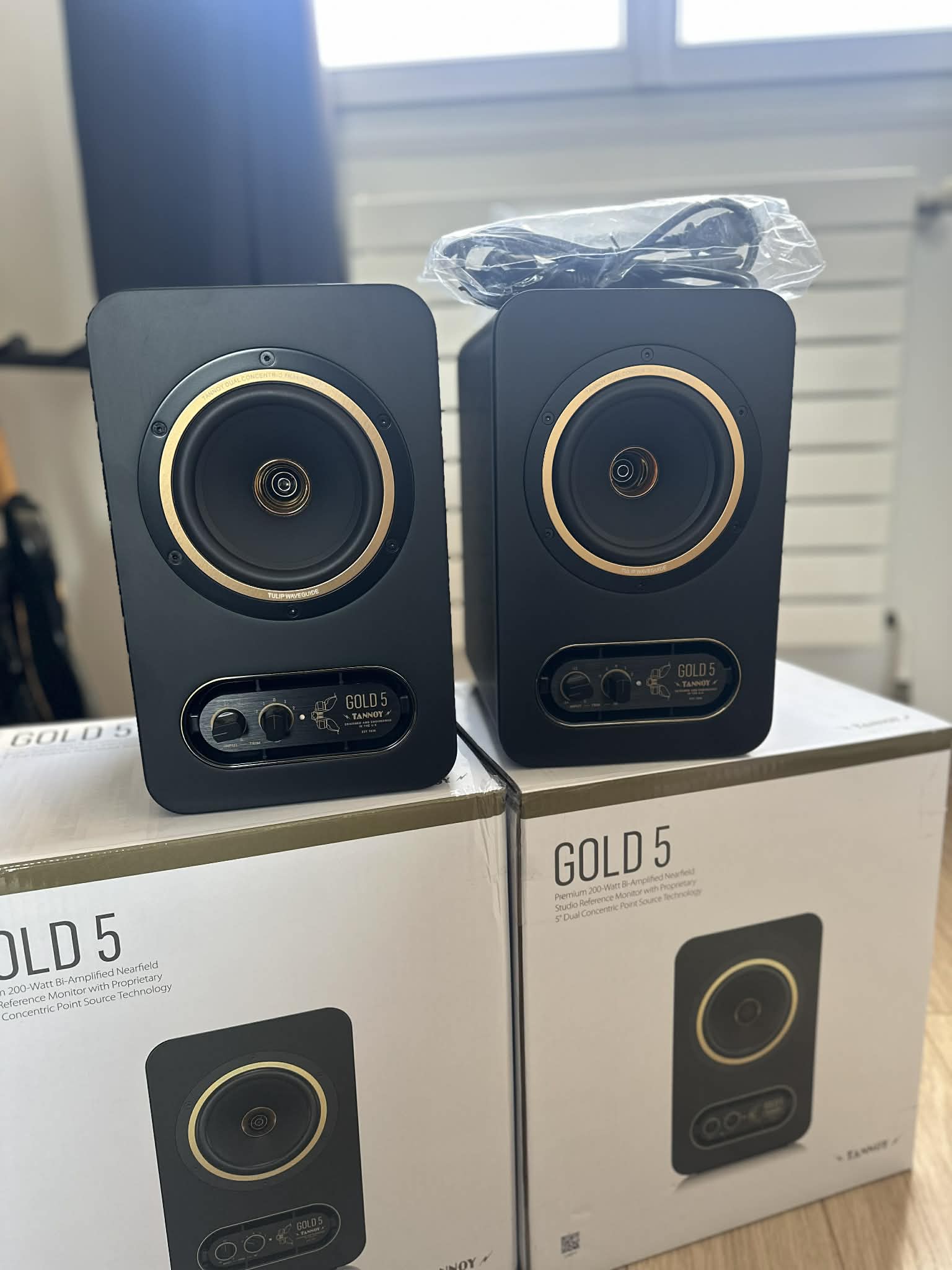 Tannoy Gold 5 – Paire monitoring – État impeccable – Boîtes & câbles d’origine