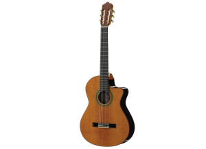 Ramirez 2cwe Roland Ap 1