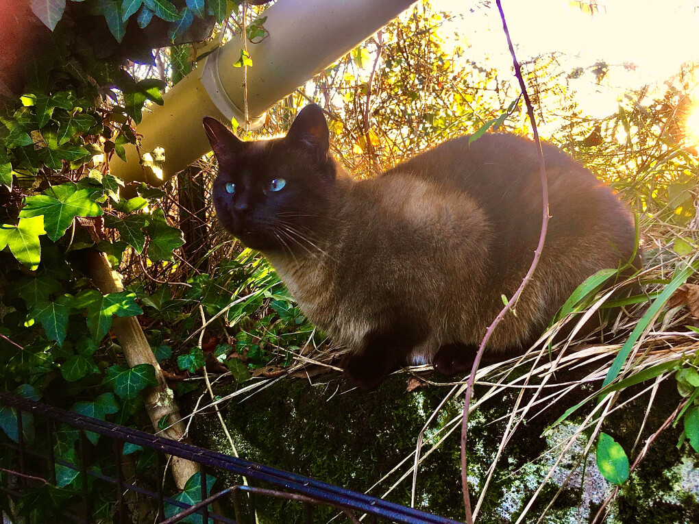 6762471.jpg 6762471.jpg