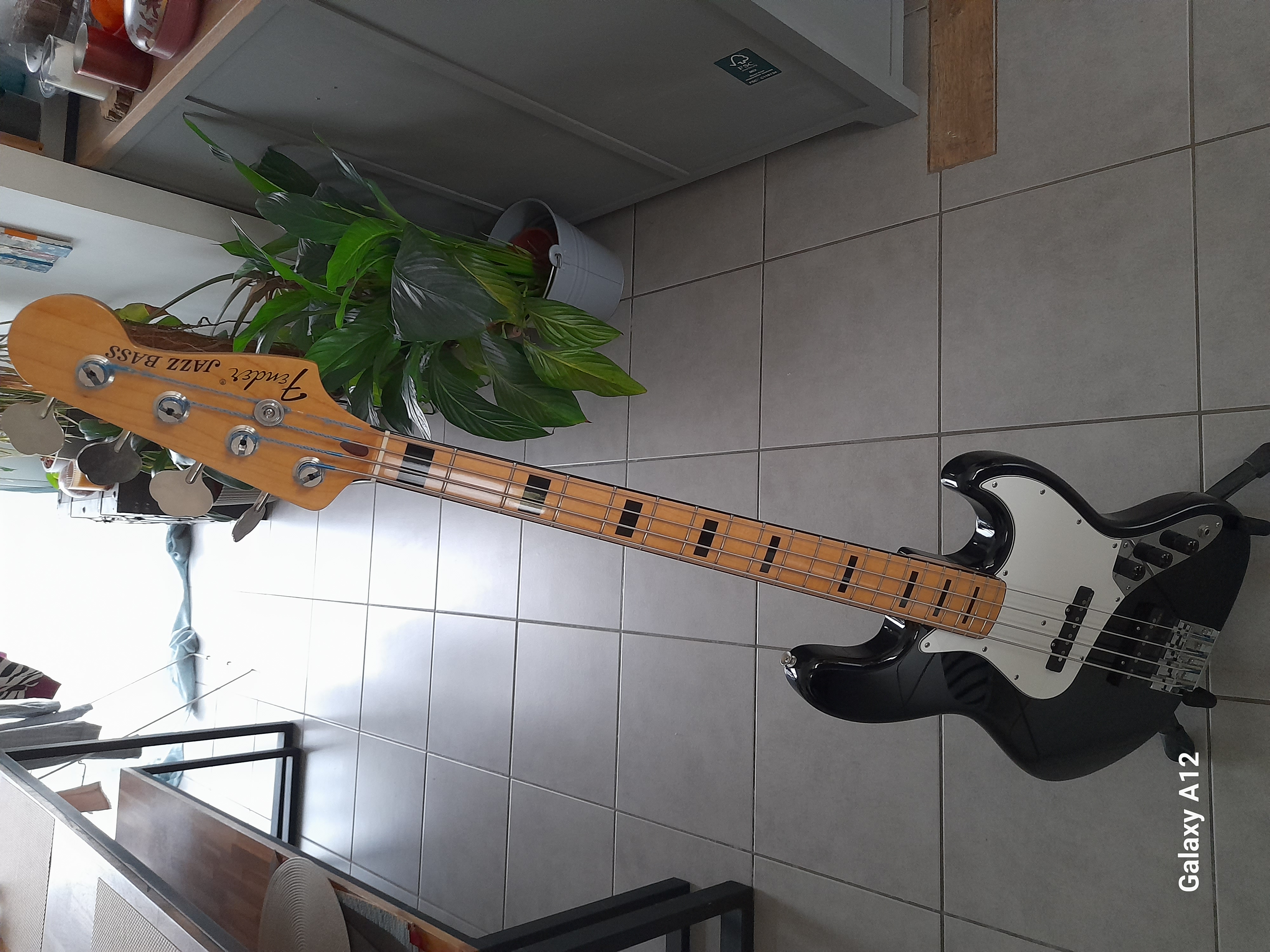 Geddy Lee MIJ + micro EMG JVX