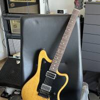Tom Anderson - Raven SUPERBIRD - Custom