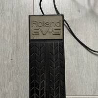 Roland ev 5