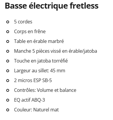 Basse active 5 cordes Fretless