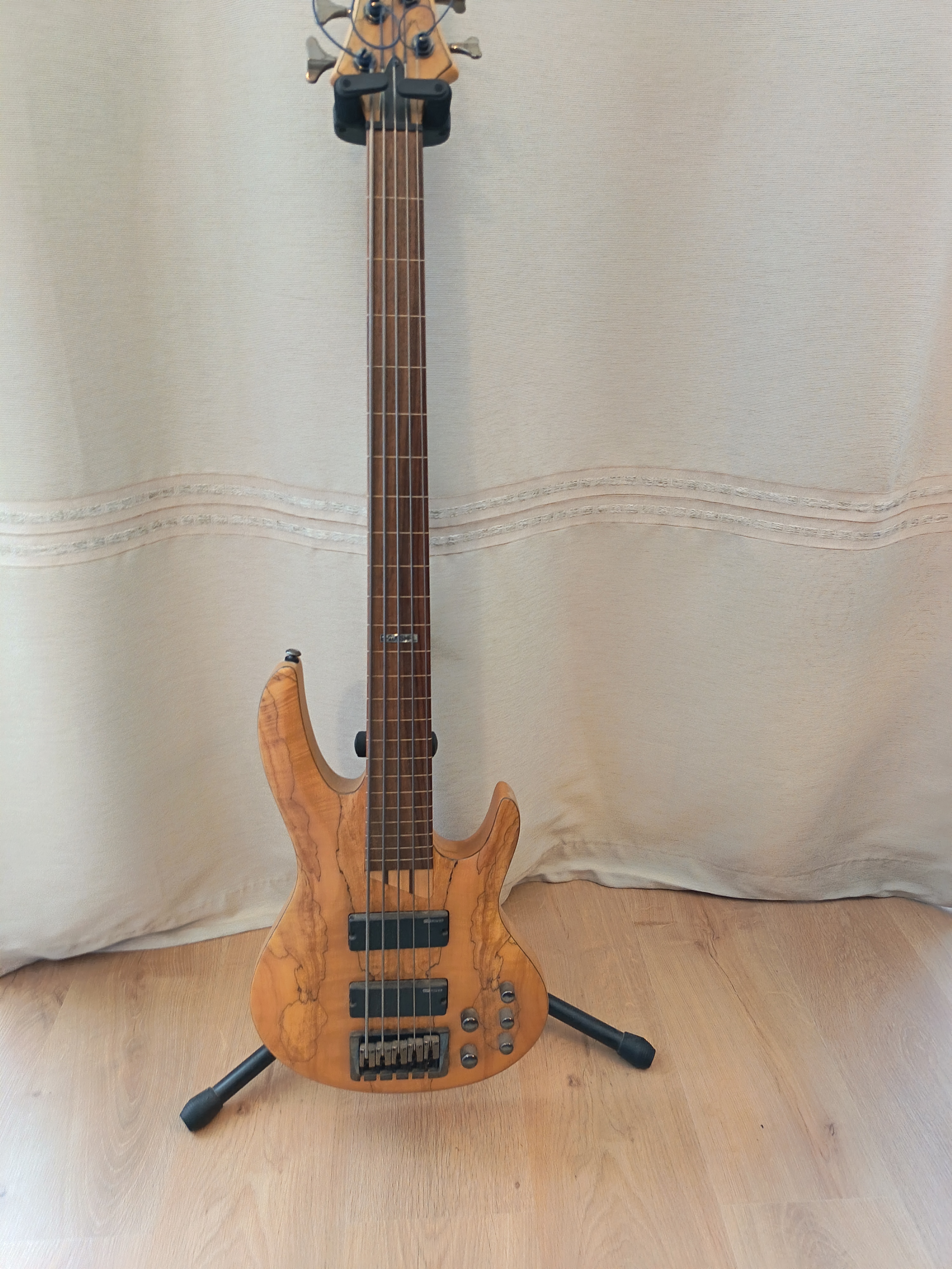 Basse active 5 cordes Fretless