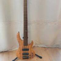 Basse active 5 cordes Fretless ESP LTD