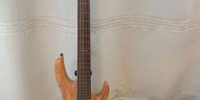 Basse active 5 cordes Fretless
