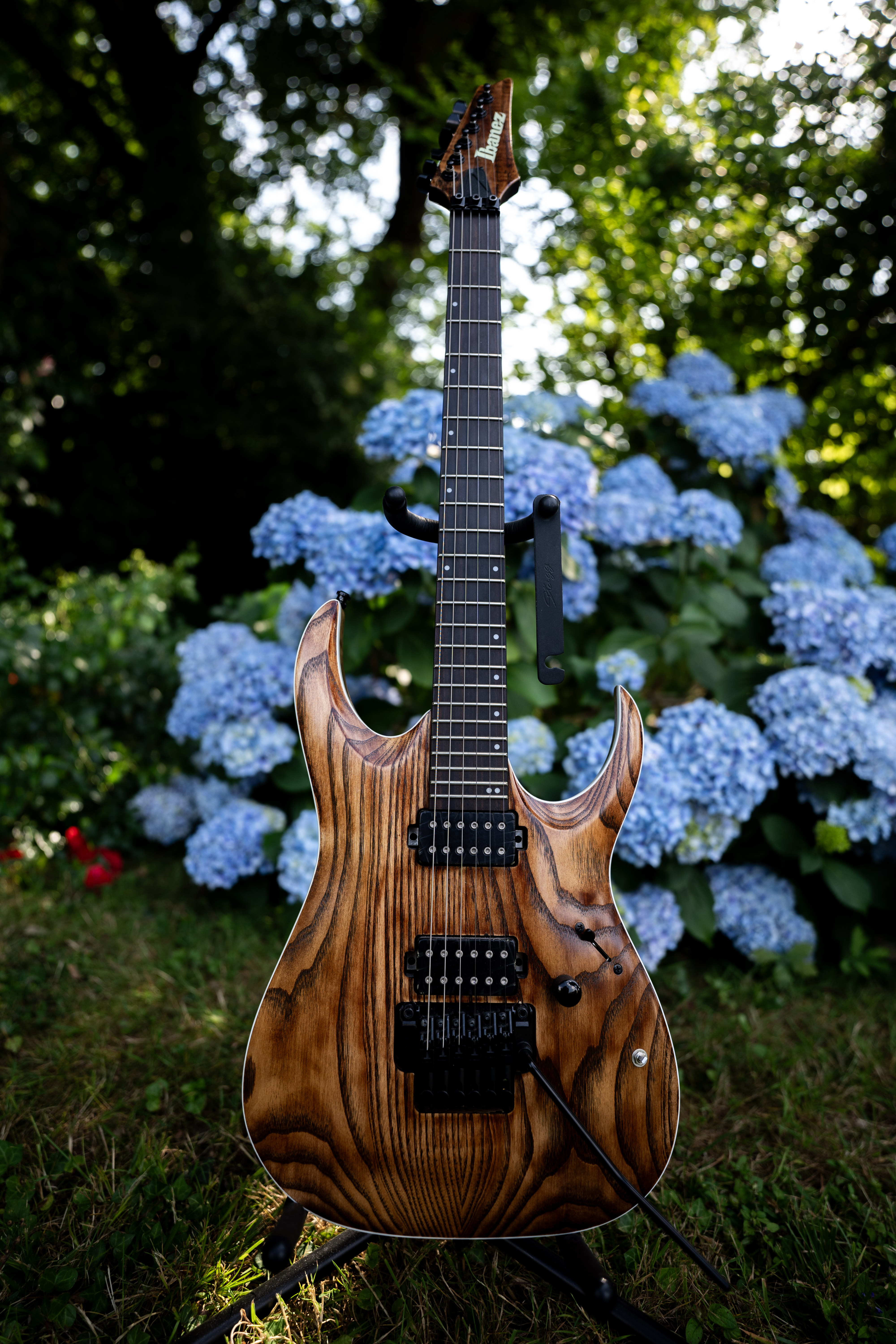 Ibanez RGA