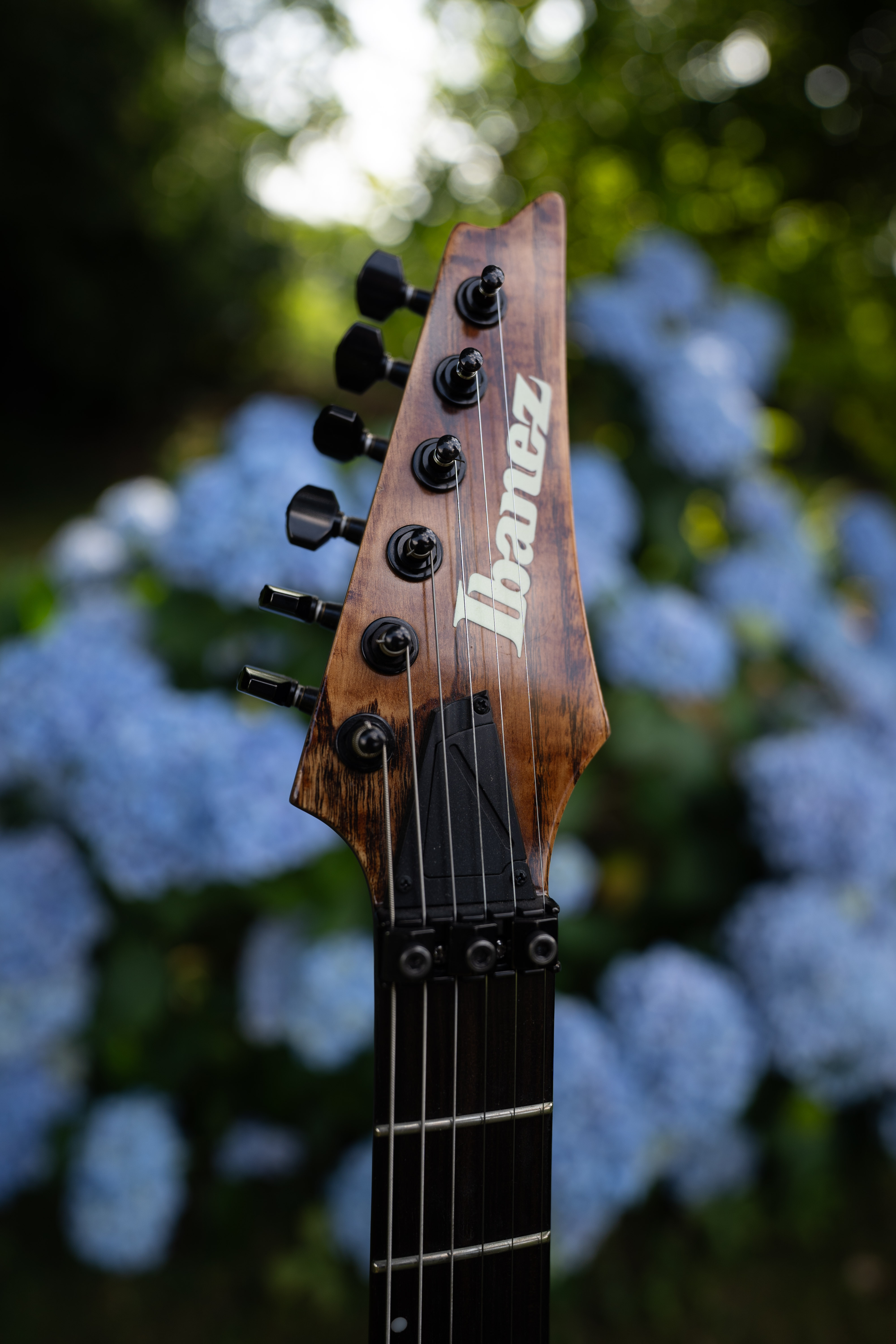 A7300005-2
