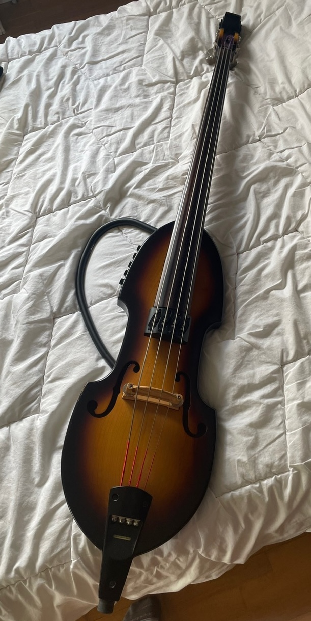 ARIA SWB 04 custom shop