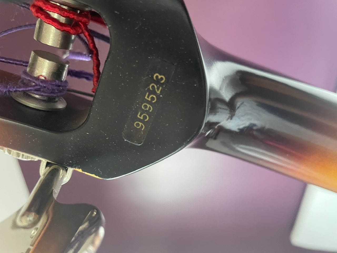IMG 6546