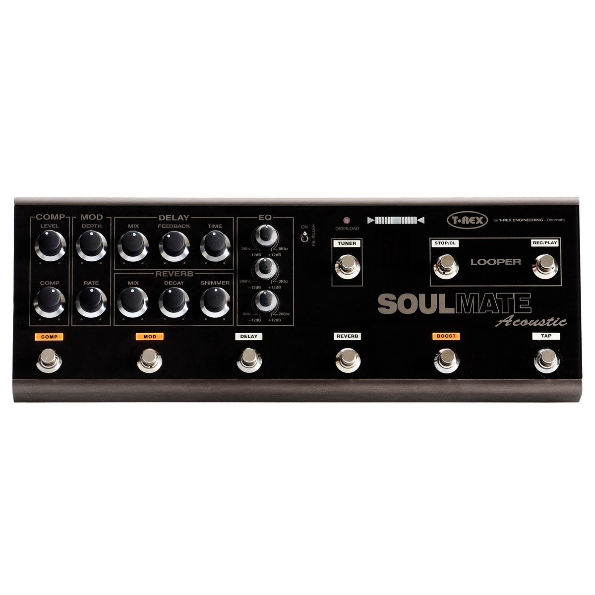 T-REX SOULMATE ACOUSTIC