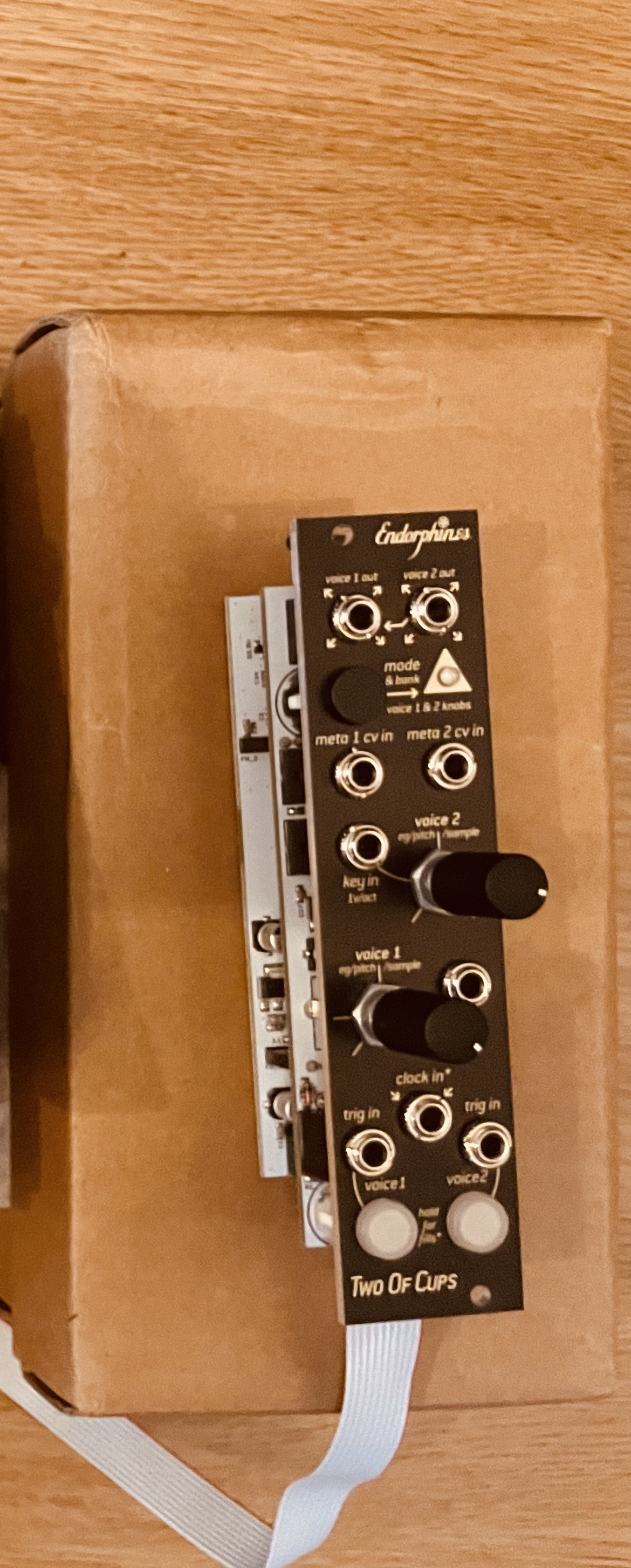 Endorphin.es Two Of Cups