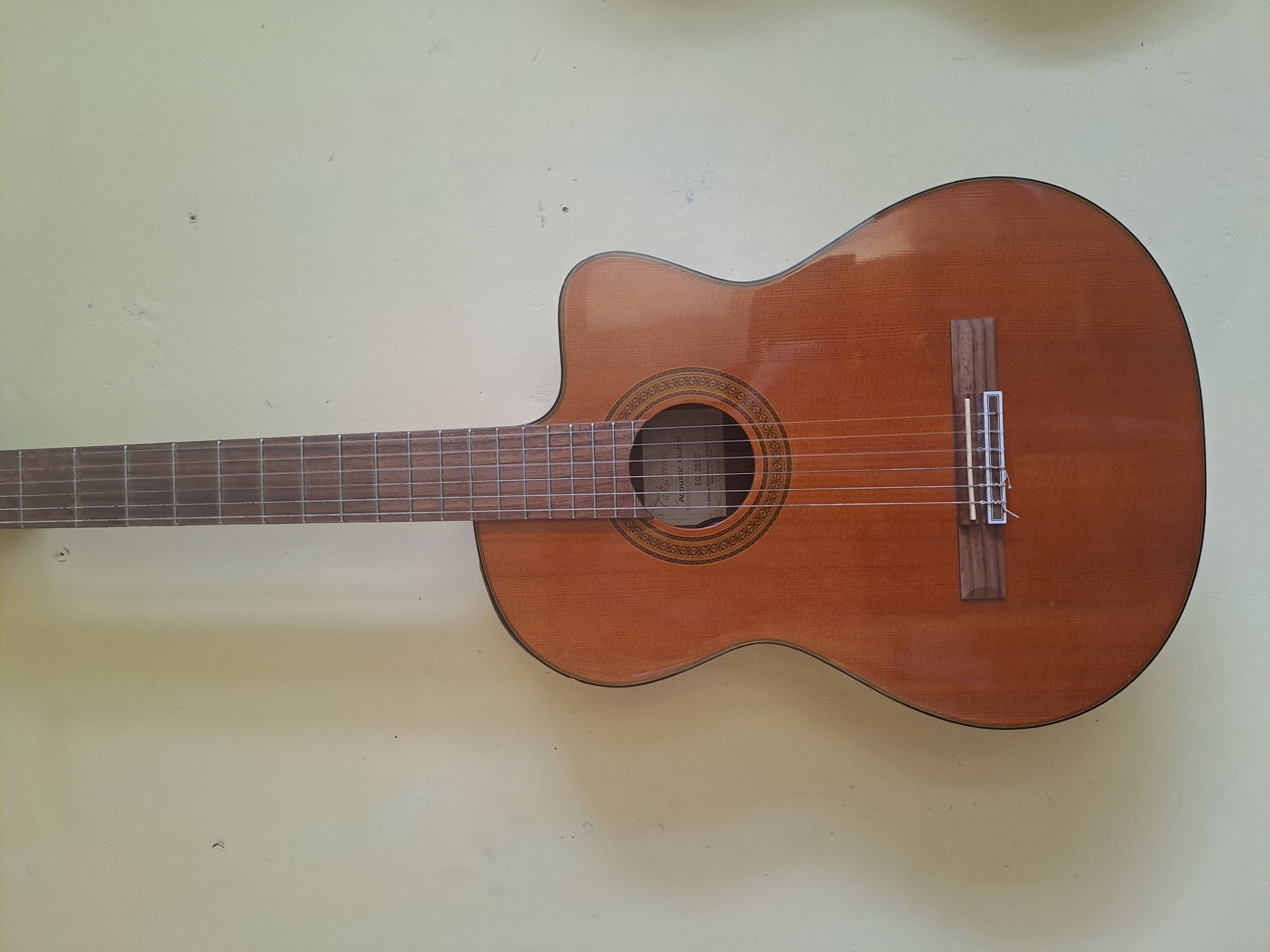 Vends guitare takamine electro accoustique