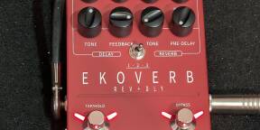 Delay + reverb Ekoverb