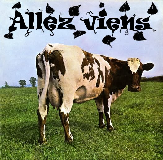 6765714.jpg 6765714.jpg