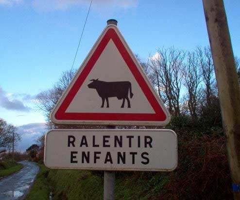 6765725.jpg 6765725.jpg