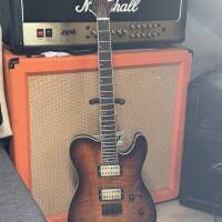 LTD TE-401 + Bare Knuckle Aftermath